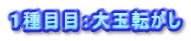 １種目目：大玉転がし